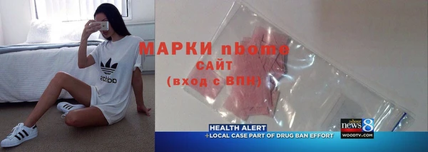 хмурый Алексин