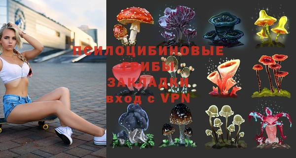 хмурый Алексин