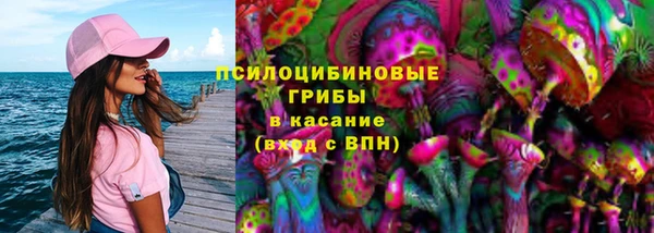 хмурый Алексин