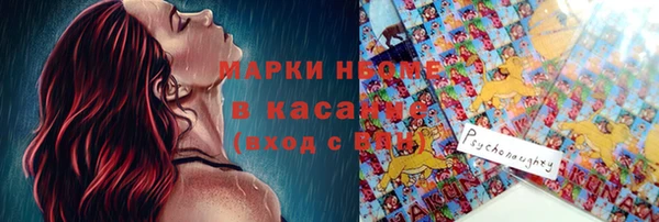 хмурый Алексин