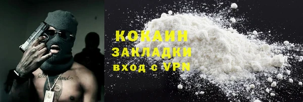 хмурый Алексин