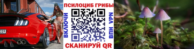 Псилоцибиновые грибы Magic Shrooms  даркнет сайт  Шацк 